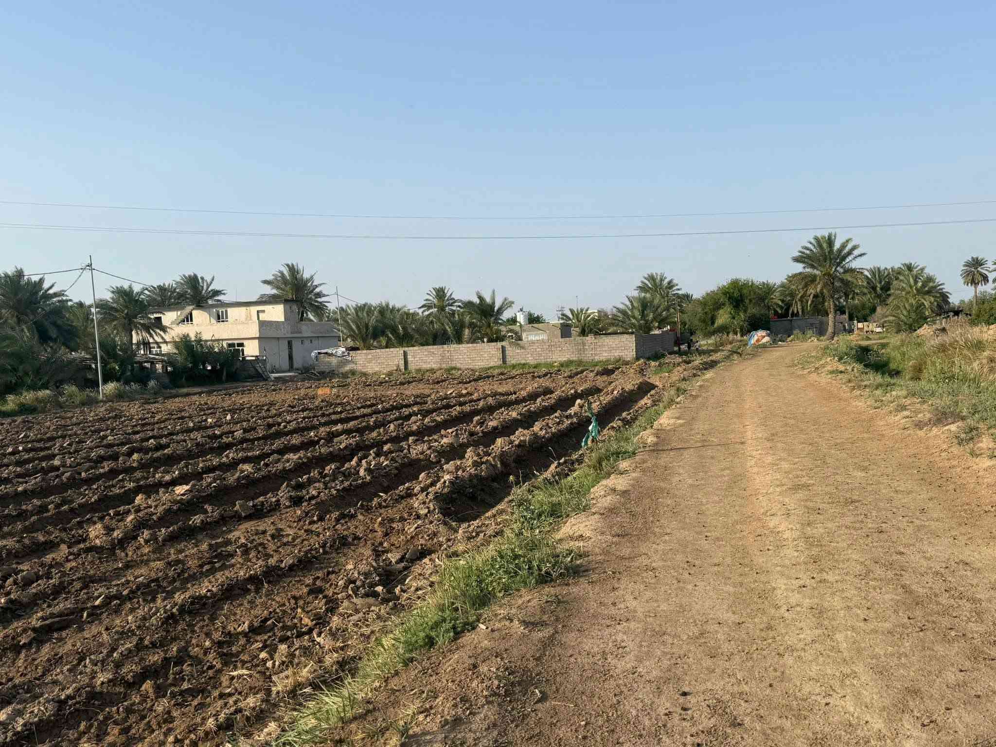 كاع طابو زراعي سند 25 بسمي شرط التحويل)(في واسط - قضاء - الزبيدية )
تبعد عن مركز المدينة -وعن( سيطرة السدة تقريباً ٤٠٠ م) محاديه لنهر دجله 

(( طريق سدة الجدول )) 

مساحة ١٨ دونم - وجه 28 م
 (بيهة خمسه ٥ بيوت )
ملاحضة؟ . البيوت تباع من ضمن الدوانم وذا تجزئه لا حسب التفاق))

(( طريق رسمي - حصة مائية + ماطور - كهرباء
تبليط - مستصلحة مزروعة - (( تحويل مباشر ))
((( محولة كهرباء خاصة في الكاع )))

(( تباع كاملة أو تجزئة دوانم ))
(( كما موضح في الفيديو ))

للاستفسار - *********** )) 
((واسط - قضاء - الزبيدية  ))

نص مكتوب في الصور:
- realme Shot on realme 9i ١٢:٢٠٠٩ -٠٤.٢٠٢٦