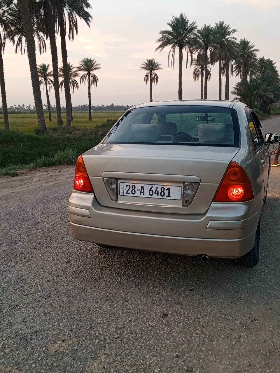 ديانا • ٢٠٠٥ • رقم نجف