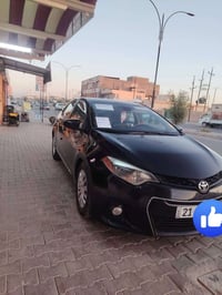 خط طالبات • جامعة الخانوكه • ناقص طالبتين