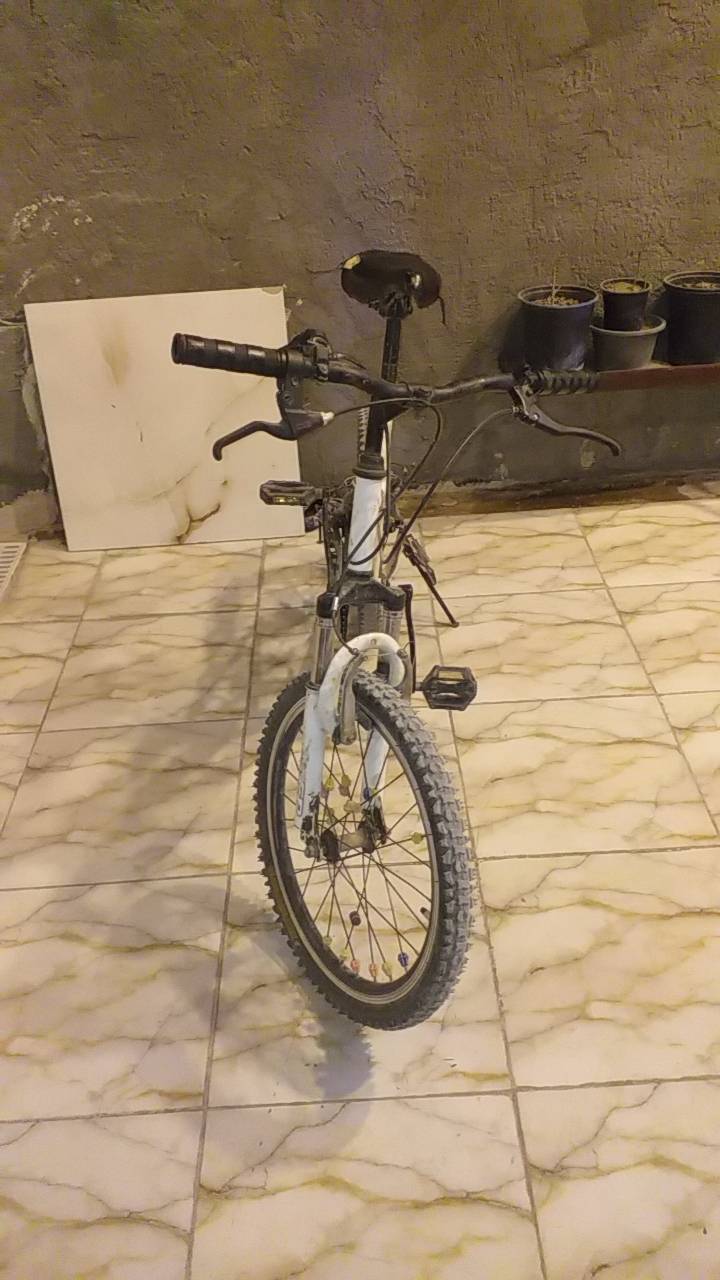 بايسكل جبلي • فرامل مبدلة
