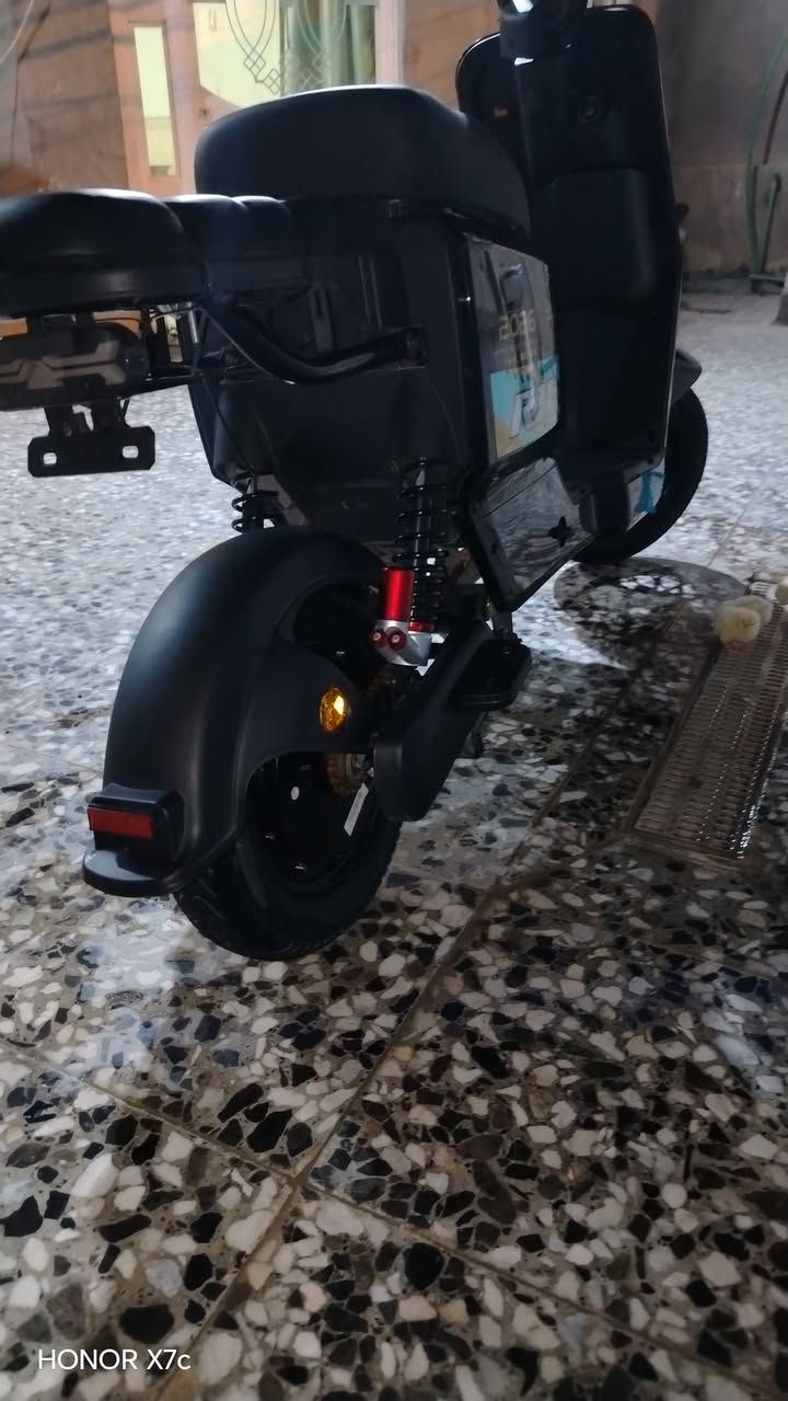 R11 • 2026 • ممشية قليلة