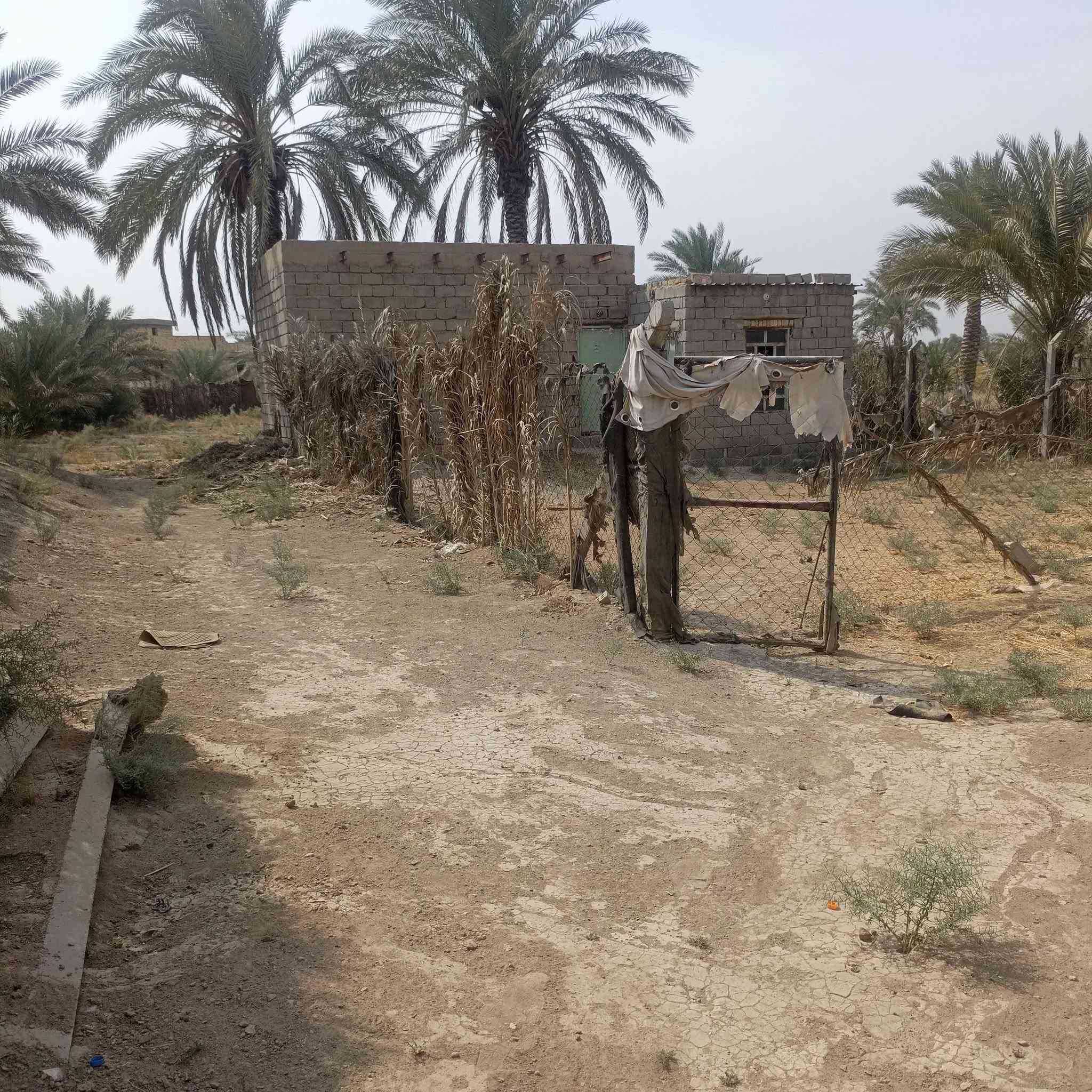 العماديه • طابو زراعي • ٥٩٠٠م