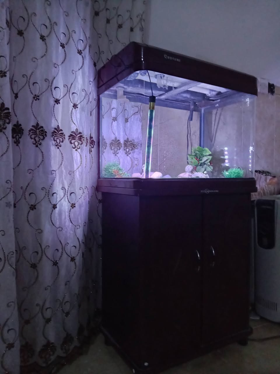 حوض سمك • غطاس • ميز كومدي