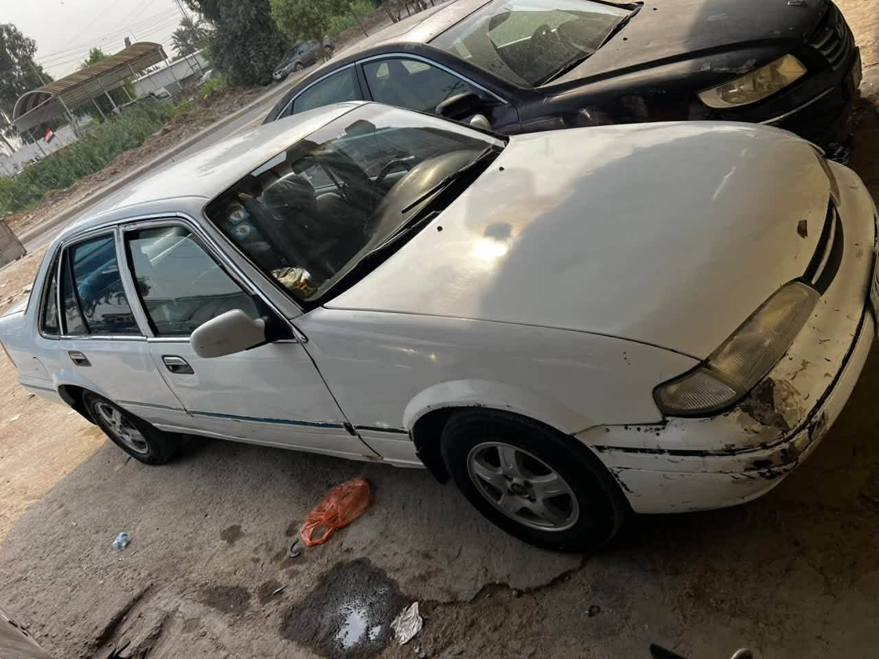 برنس فراشه • موديل ١٩٩٧ • رقم مميز