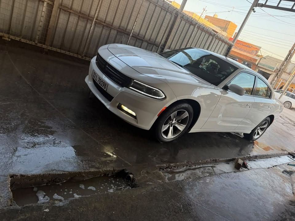 تشارجر SXT • ٢٠١٩ • رقم اربيل