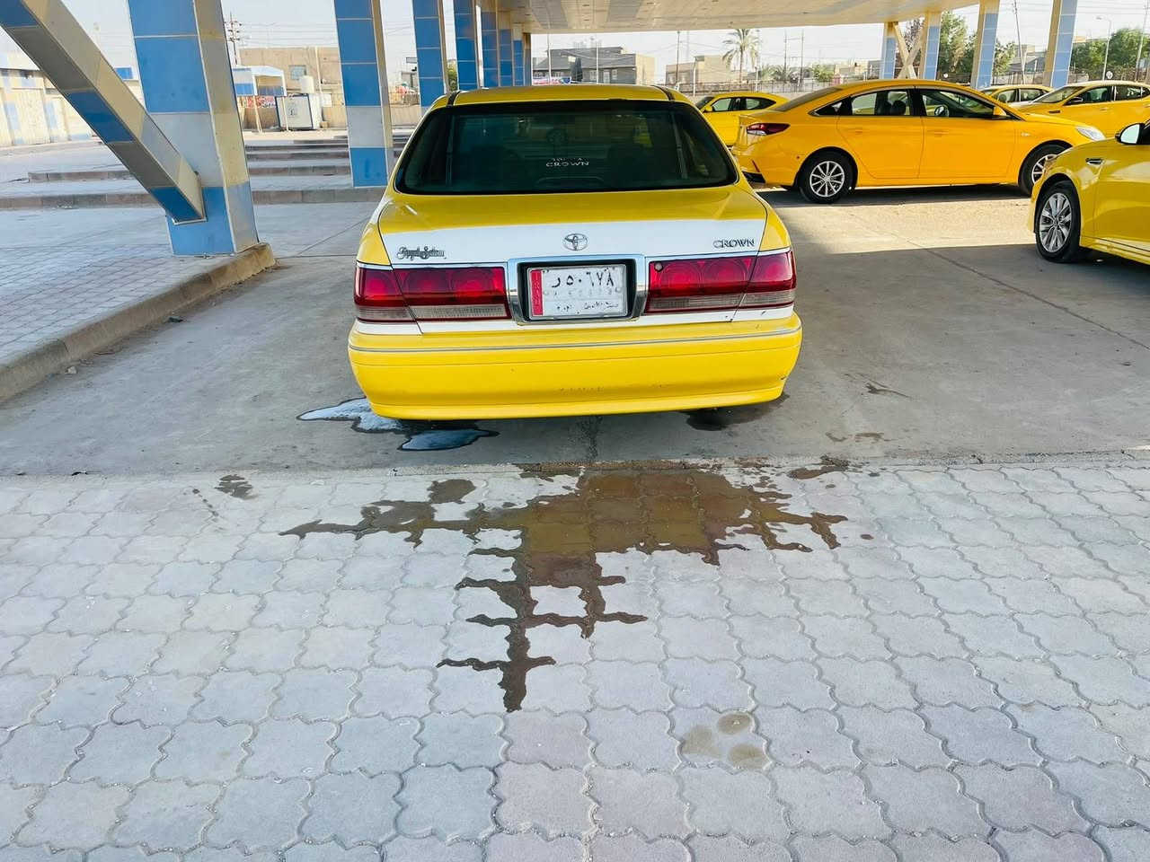 شاصي ٧٥ • ٢٠٠٣ • قاسم بغداد