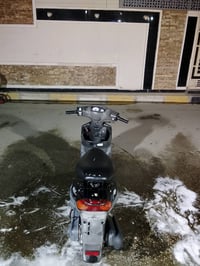 بيجي • كارتون • ٤اشهر