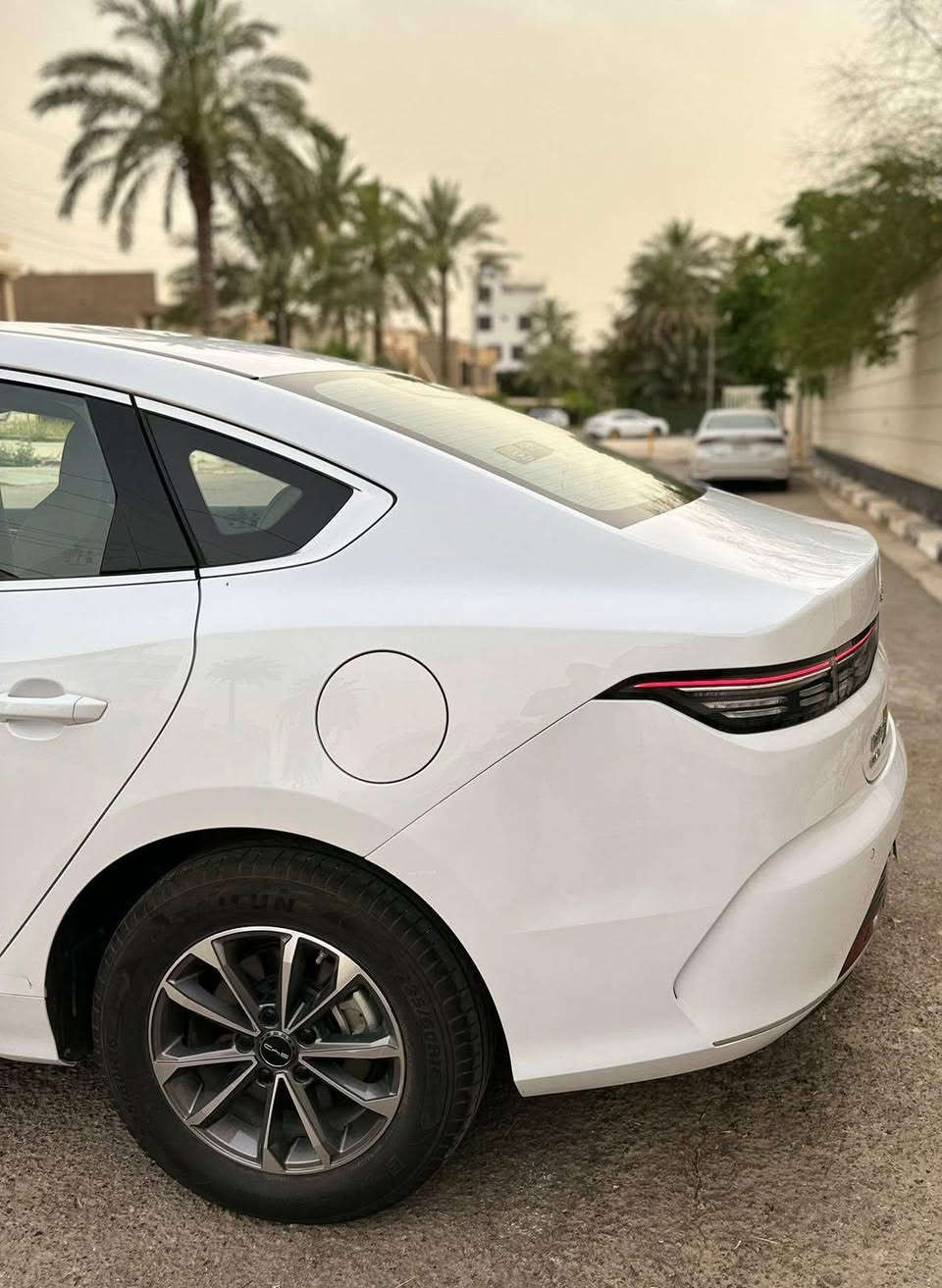 السلام عليكم بيع فقط ونقدا 
بي واي دي دسترويل بسمي شخصيا بغداد رقمتها  
توني ماخذها وحولتها ورقمتها ٢٠٢٥ ملاحضه صور اول ما اخذتها من معارض الكريعات حاليا عندي بلبيت مرقمه وجاهزه علق بتم يصلك سعر ع خاص
صفر زيرو بعدها كفاله عامه مكاني بغداد وسعر مناسب جدا شراي يتصل ويدلل ***********

‭+٩٦٤ ٧٧٦ ١٢٩ ١١٥٠‬
