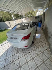 اكسنت • ٢٠١٣ • الضلوعيه