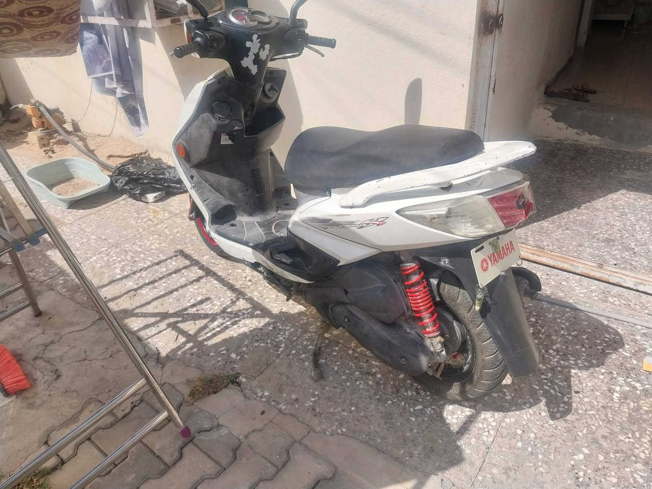 سكنس فحل نوزل مكفوله مامفتوح ولا شي منه كلشي على بلاد مكفوله مال رمه سعر 800 الف وياه أوراق مكاني حي بتول مراسله خاص او على رقم *********** رقم بي وتساب

