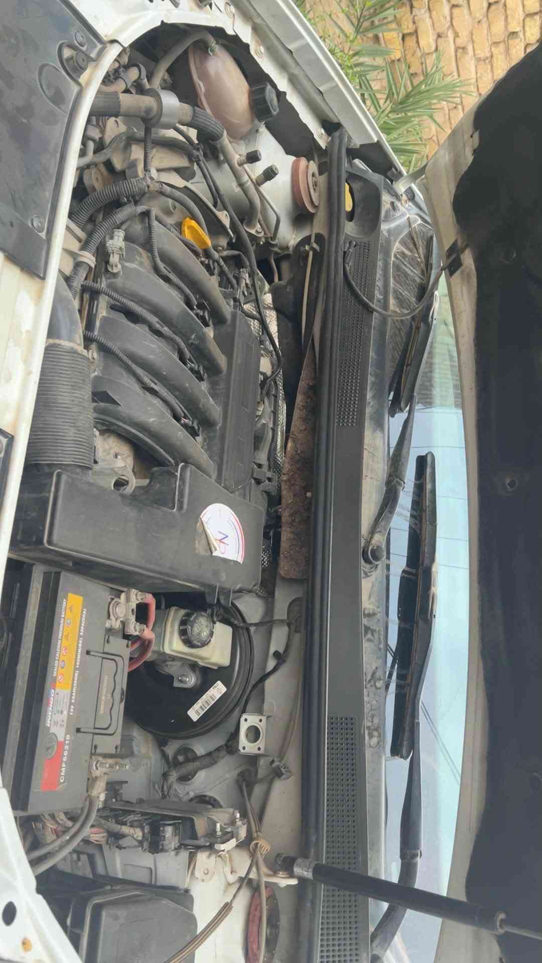 كفاله عامه • طك كارتون • ٢٠١٧