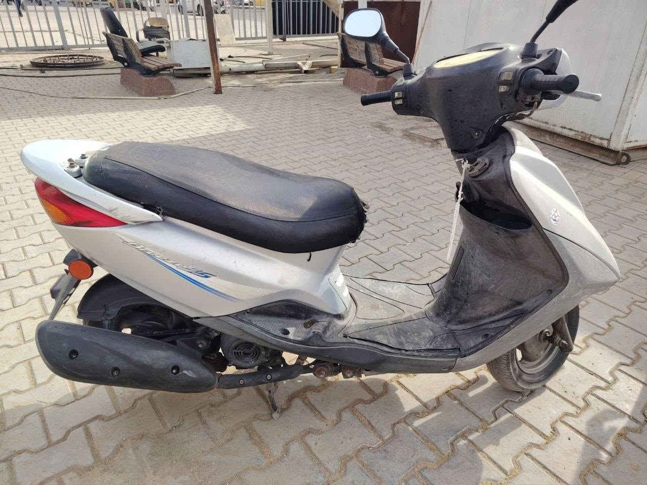 بريز ببغاء • فضي • مامفتوح