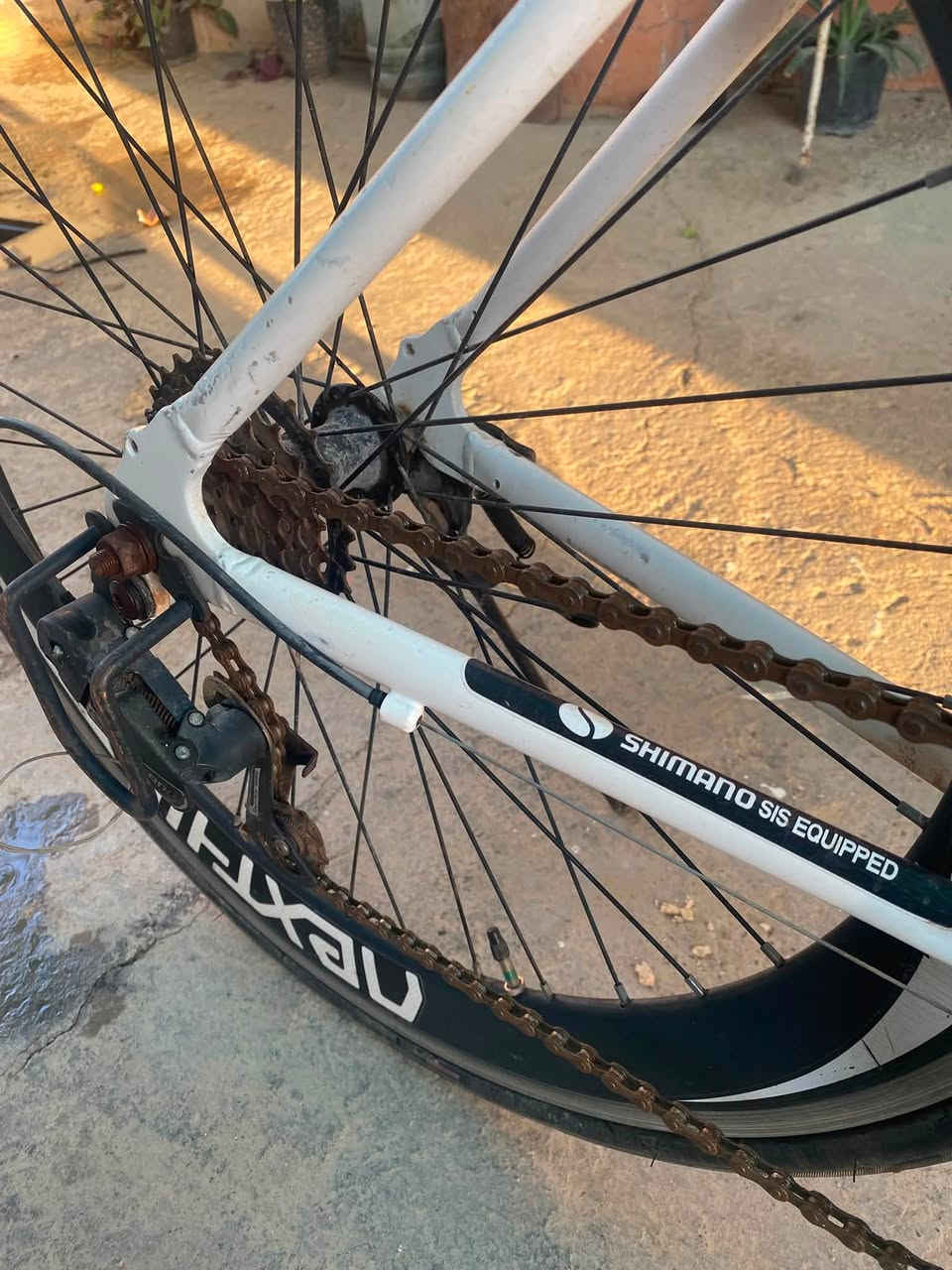 بايك نوع رود c700
طقم شيمانو المنيوم 
نظيف جدا 
السعر 250 وبي مجال
التواصل ***********
