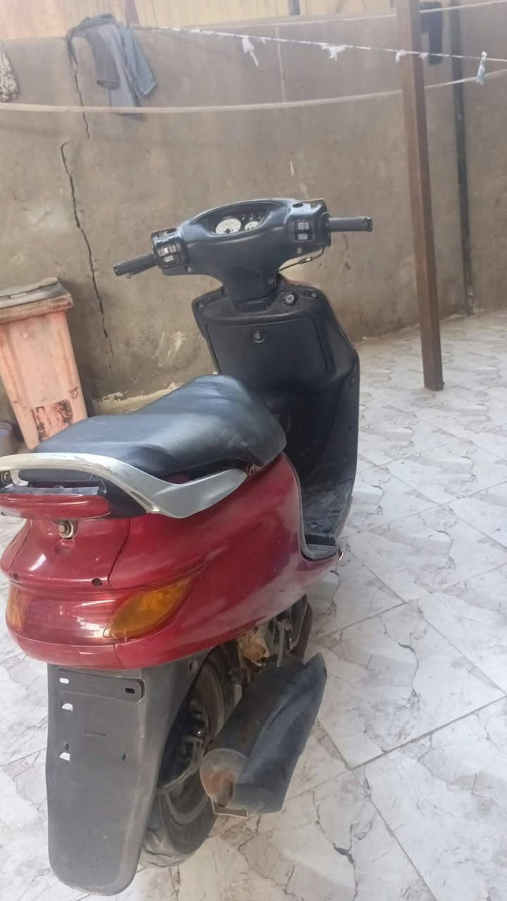 فراشه • تخبل • شغالة