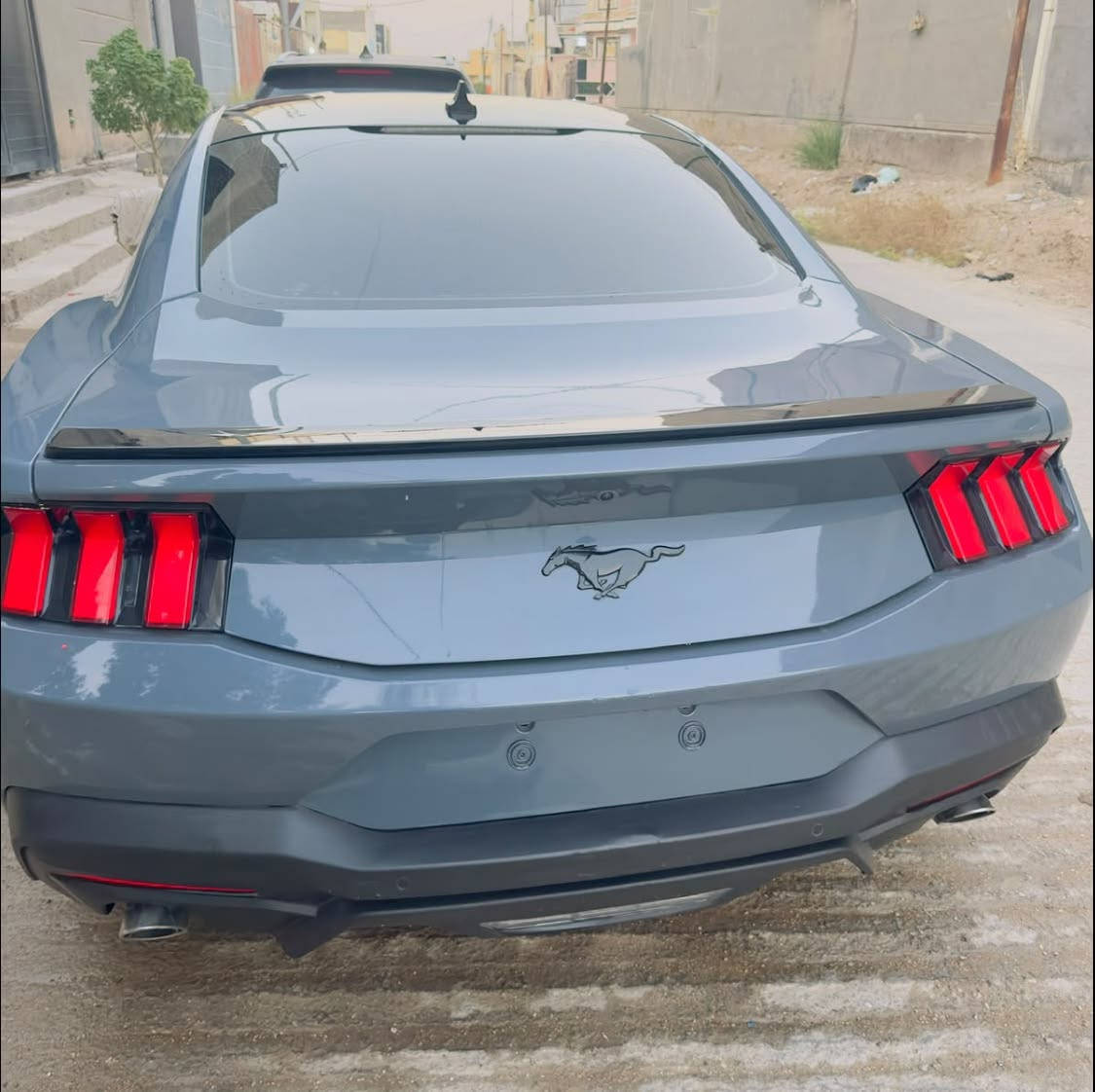 موستنك 2024
توكلر 
شبابية وبناتية ماشية 23 ألف كم فقط.
محرك 2.3 Turbo EcoBoost
المحرك الكير التبريد وكهرباء السيارة جميعها على الكفالة
صدر السيارة على الكفالة
ضرر  سطحي تترقم جميع 
محافضات  الدواخل سليمة  
السيارة نصبتها تخبل 
السعر  ك160 وبي مجال
رقم راعيها 
***********

