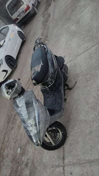 بريز ببغاء • كهربائيات شغاله • دشبول طافي