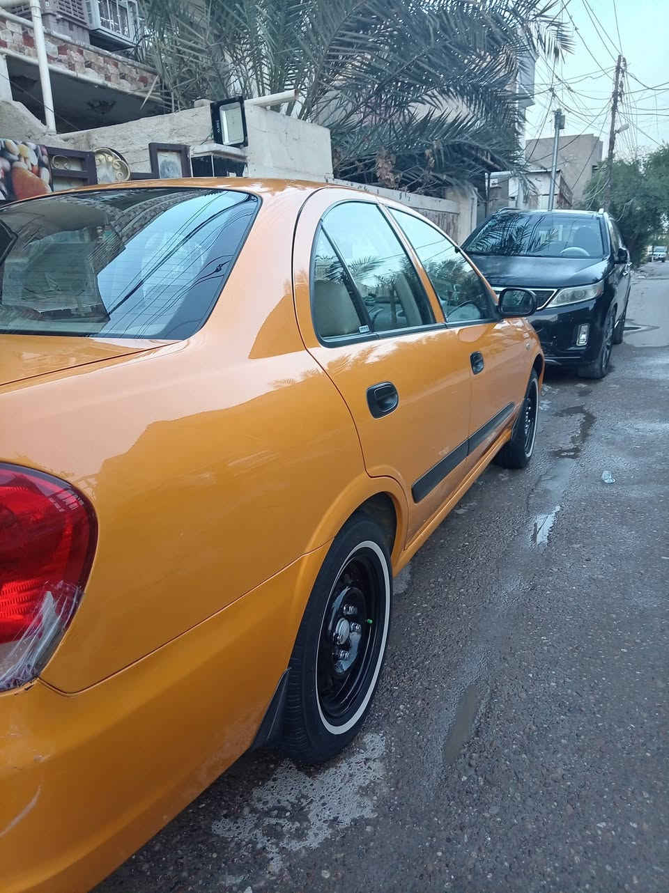 نيسان صني • مصبوغ • بفداد الشعب