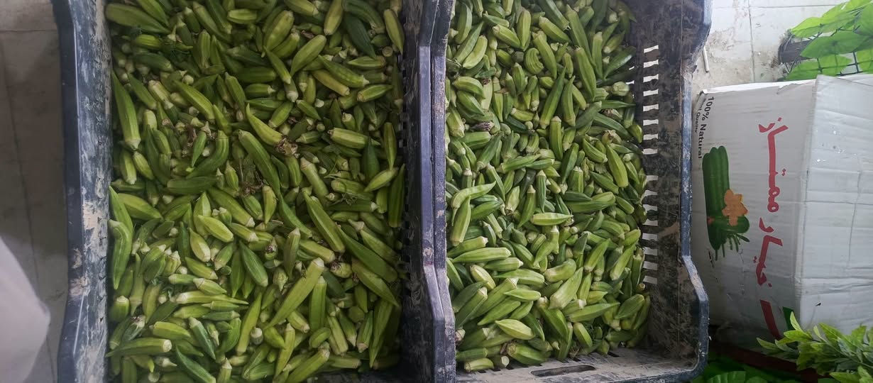 بانيا الصويره • هسه • توصيل