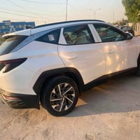 توسان ٢٠٢٤ • بغداد باسمي • مكفولة