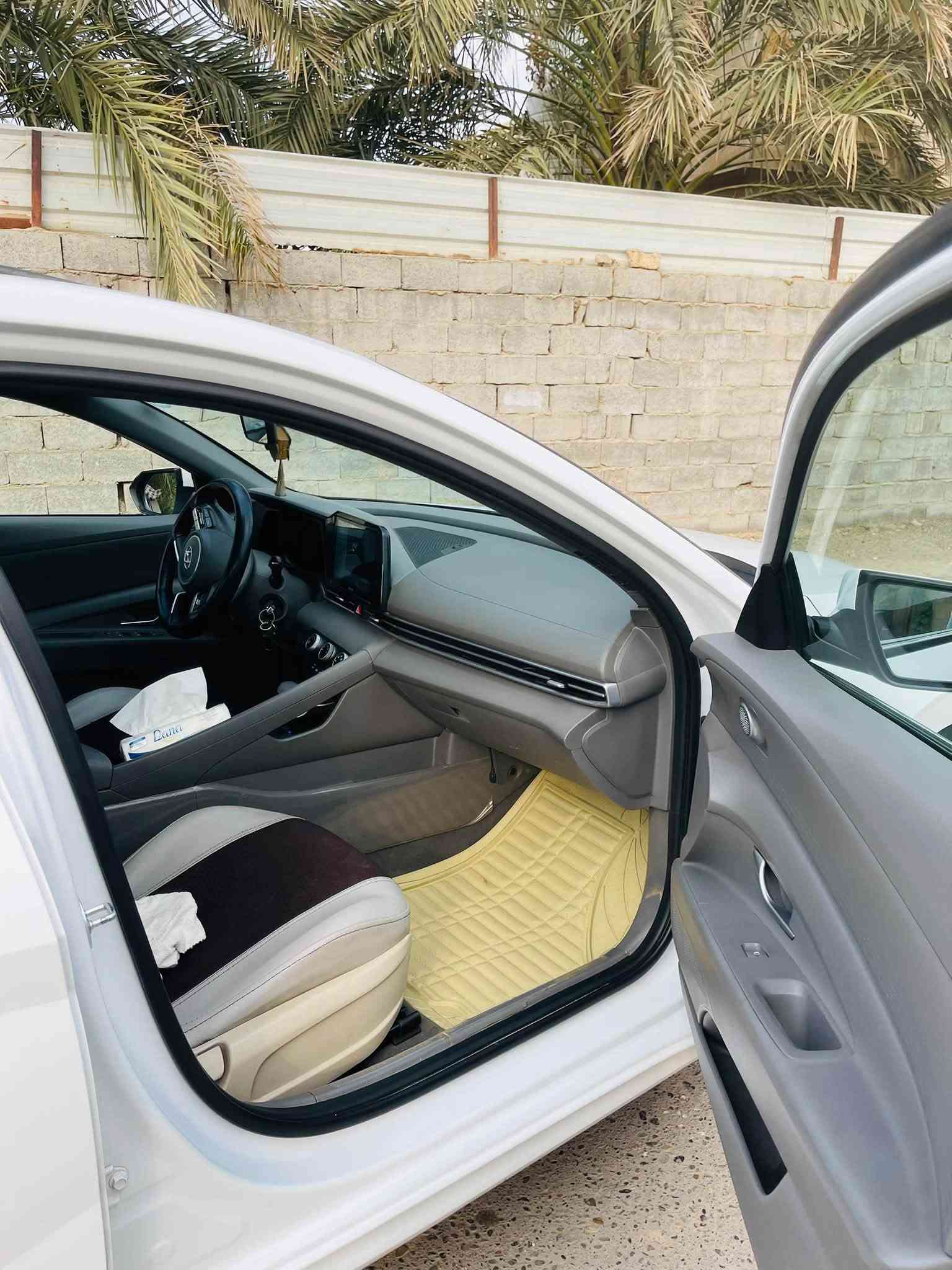 ألنترا ٢٠٢٣ • خليجي • بدون صبغ