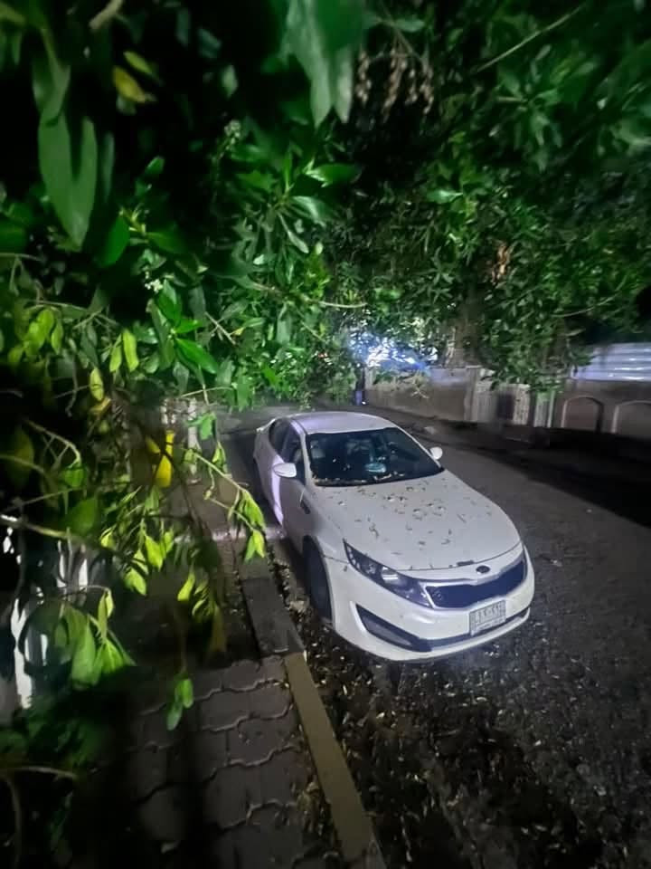 🚗 للبيع كيا أوبتيما وارد أمريكا 

السيارة جاهزة للاستخدام وما تحتاج صرف. بغداد
***********

🔹 المحرك: 2400 GDI
🔹 الممشى: 100 ألف ميل.

المواصفات:
✅ داخلية جلد
✅ شاشة لمس
✅ كاميرا خلفية
✅ تحكم بالستيرن
✅ مثبت سرعة
✅ وباقي المواصفات المعروفة للأوبتيما.

التبديلات الجديدة:
✔️ تايرات تخم جديدة
✔️ صدر أمامي جديد
✔️ صدر خلفي جديد
✔️ بلكات ونوزلات جديدة
✔️ رادياتير جديد
✔️ منظومة تبريد جديدة بالكامل
✔️ محرك أوبتيما حاوية جديد 

✅ السيارة مكفولة من ناحية المحرك والگيـر.

للعلم:

* بنيد مبدل بتجاري مصبوغ
وحدثها السيارة جاملغ امامي وخلفي فقط 

السعر مناسب جداً

📩 للاستفسار أو المعاينة، راسلني خاص أو اتصل، والسيارة رقمها ذي قار ومشروع وطني
