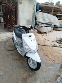 ماكس منغول • برغي • نضيفة