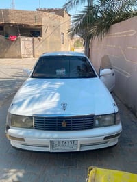 بطة • 1994 • البصرة