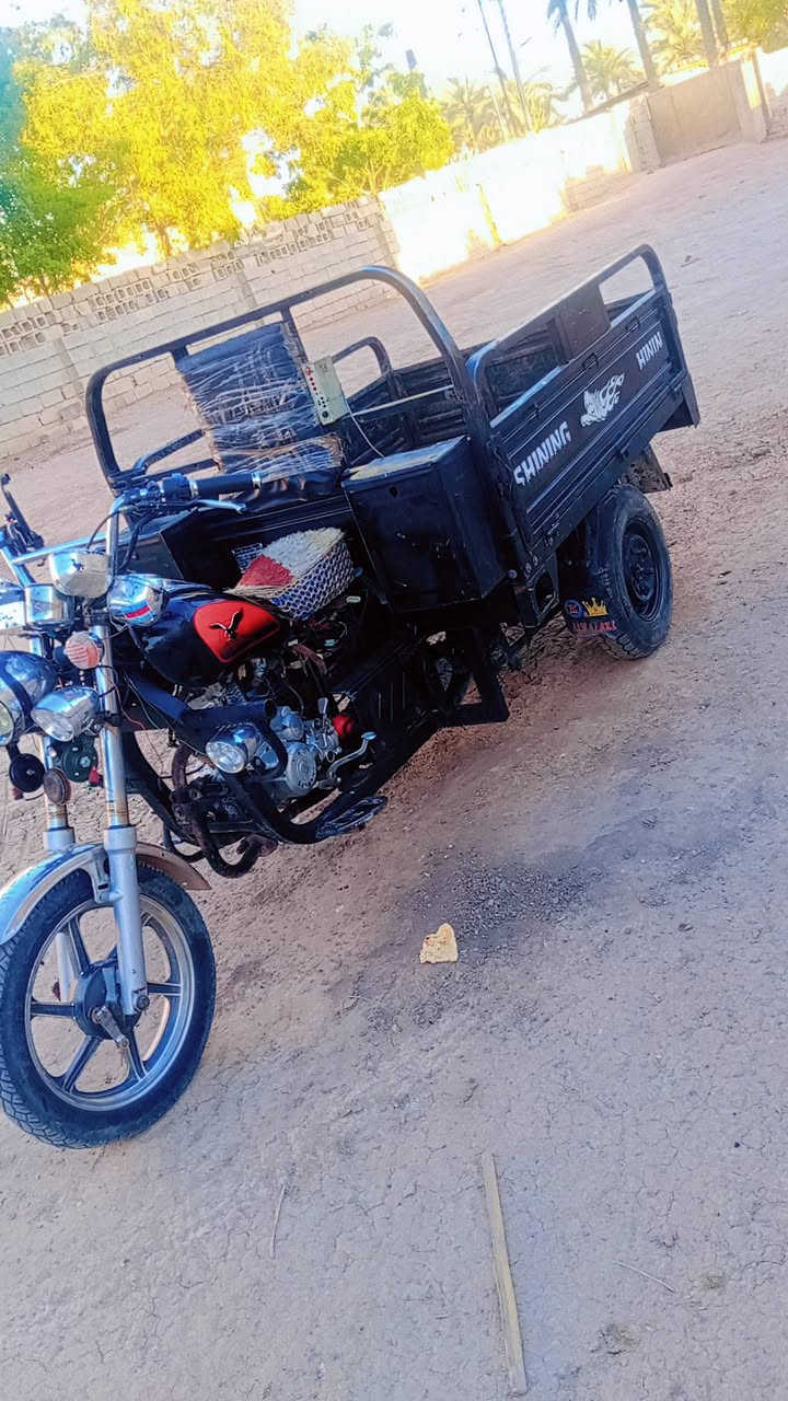 ستوته • ٢٠ • ٢٦
