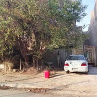 الشعب • ٢٠٠م • مقابل منتزه