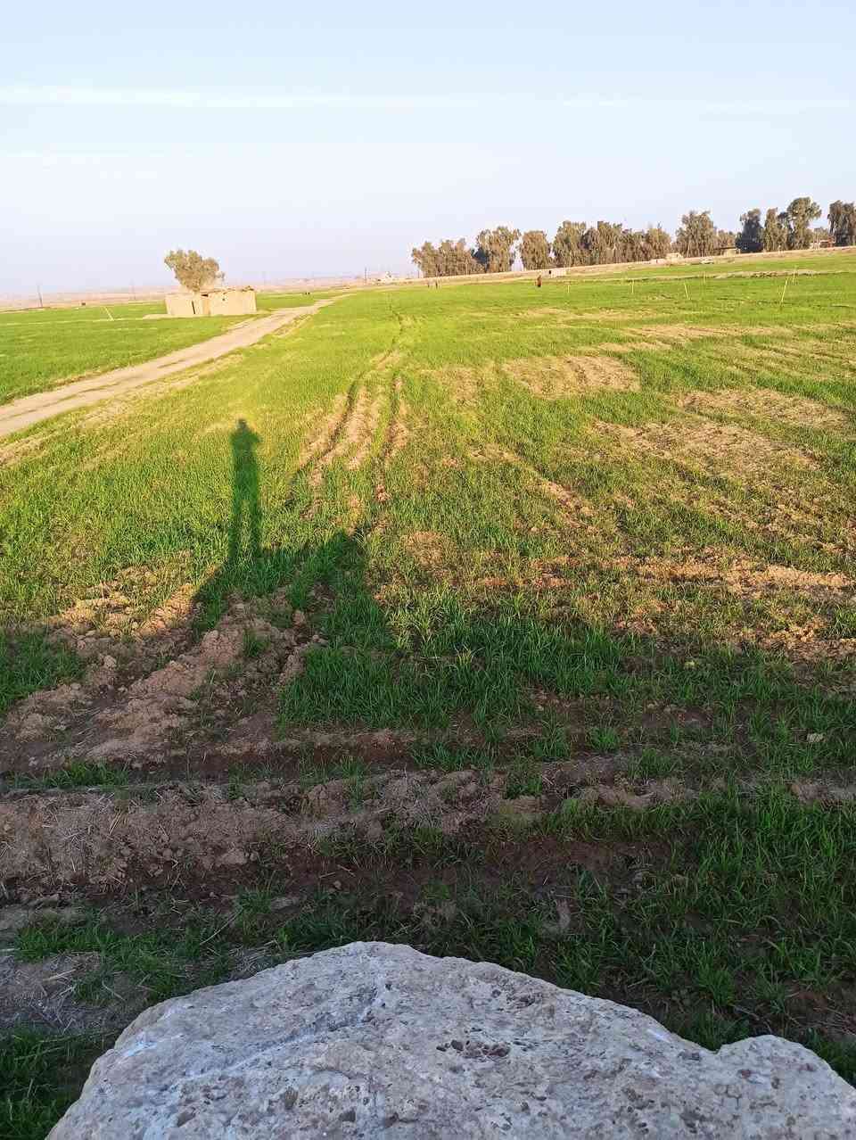 https://maps.app.goo.gl/SvPgCv49cso5feUy6
ارض زراعيه تقريباً اربع دونم سند 25 عثماني أسود طابو زراعي #للـبـيــع 
موقعها بعد مدخل حمام العليل كما موضح بالرابط ☝️تبعد عن نهر دجلة 500 متر 
***********/إتصال/واتس
