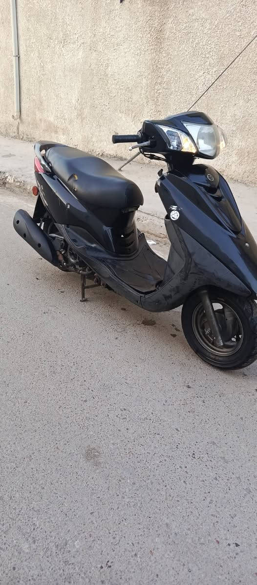 بغبغاء • رمبة • كفالة