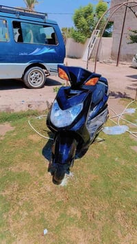 سكنس فحل • كابريتر • اوراق كامله