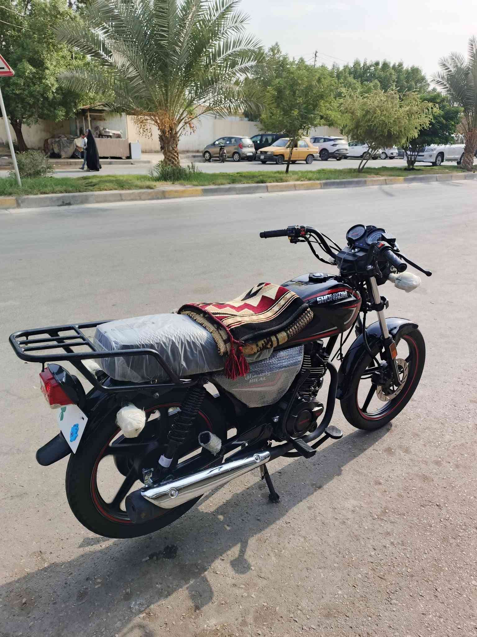 شاينك • ٢٠٢٦ • ٦٠٠٠