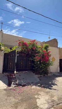 كركوك • ١٥٠م • طابو ملك صرف