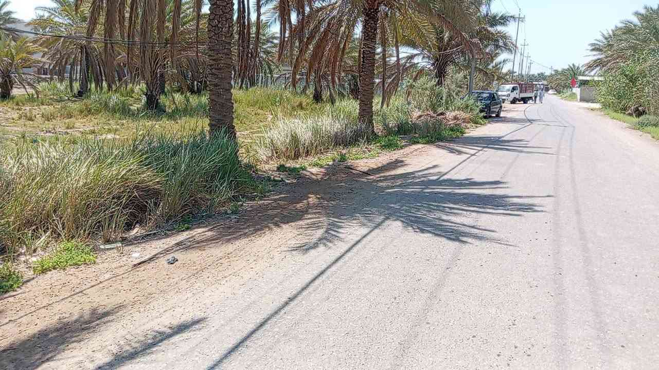 قطعة ارض للبيع ١٥٠٠ متر (طابو زراعي) محاطة بشارعين تبليط الشارع عرضه ٩ متر القطعة متوفر فيها كافة الخدمات كهرباء وماء اسالة وماء سقي، القطعة قريبة على الشارع العام جدا، القطعة تصلح لأي شي سكن او حسينية او مخازن .
مكان القطعة شارع بغداد كربلاء عامود ٦٦٣
للاستفسار ***********
قطعة ارض للبيع ١٥٠٠ متر (طابو زراعي) محاطة بشارعين تبليط الشارع عرضه ٩ متر القطعة متوفر فيها كافة الخدمات كهرباء وماء اسالة وماء سقي، القطعة قريبة على الشارع العام جدا، القطعة تصلح لأي شي سكن او حسينية او مخازن .
