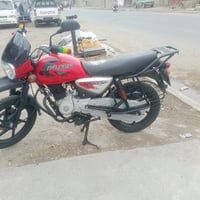 بوكسر جبلي • ٢٠٢٣ • كفالة عامه