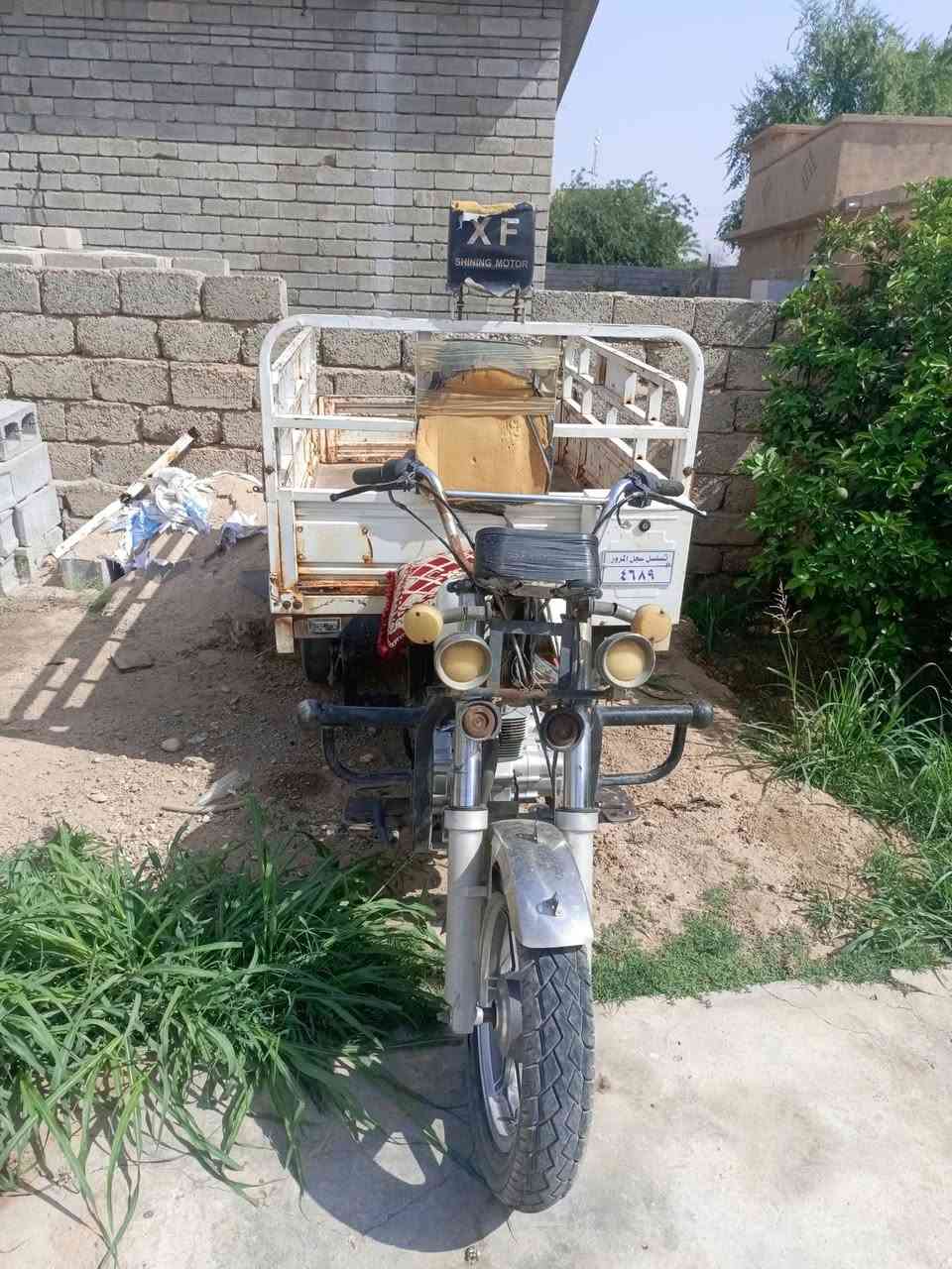 ستوته • نضيفه • بلاديه