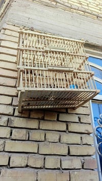 قفص بلبل • جديد