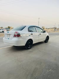افيو ٢٠١١ • وارد خليجي • بدون صبغ