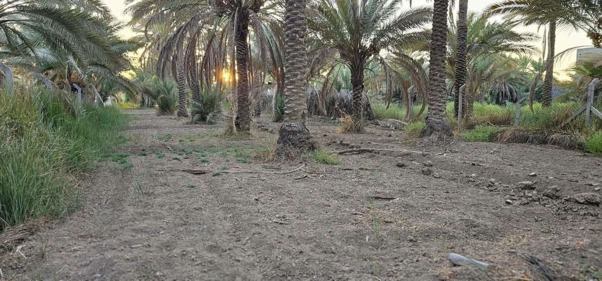 عقار مثالي في كربلاء💯
✅دونم للبيع مساحة 2360 م 
واجهه 17 متر نزال 140 متر 
وجه على بزل رئيسي مباشر 
طابو سند 25  تحويل بالطابو 

✅️متوفرة كافة الخدمات
تبليط، ماء، كهرباء، مدارس 
يصلح سكن أو حسينية للزوار 

✅️الموقع كربلاء - شارع رابط 
الزبيلية( قرب سيطرة الإبراهيمية )
يبعد من مركز مدينة كربلاء 9 كيلو 

💰السعر 250 مليون  عقاري كربلاء 

📞 إتصل الآن:  ‏‪***********‬‏

