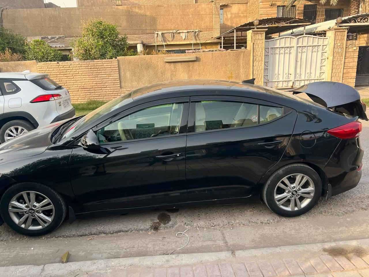 الانتراء وراد • ٢٠١٧ • رقم أربيل