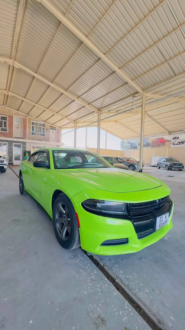 🚘 جارجر ٢٠٢٣
✨ فول مواصفات عدا الفتحة
🍏 لون تفاحي مميز وجذاب
📍 رقم بغداد وباسمي
💎 سيارة مميزة بحالة ممتازة
حادث باب وجاملغ خلفي✔️
سعر بلاش🔥🔥🔥
☎️
☎️***********
:::
