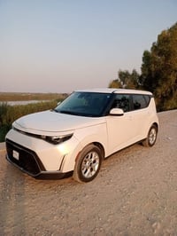 سول • ٢٠٢٤ • بدون صبغ