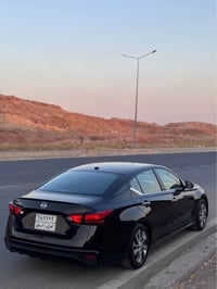 التيما • ٢٠٢٠ • رقم اربيل