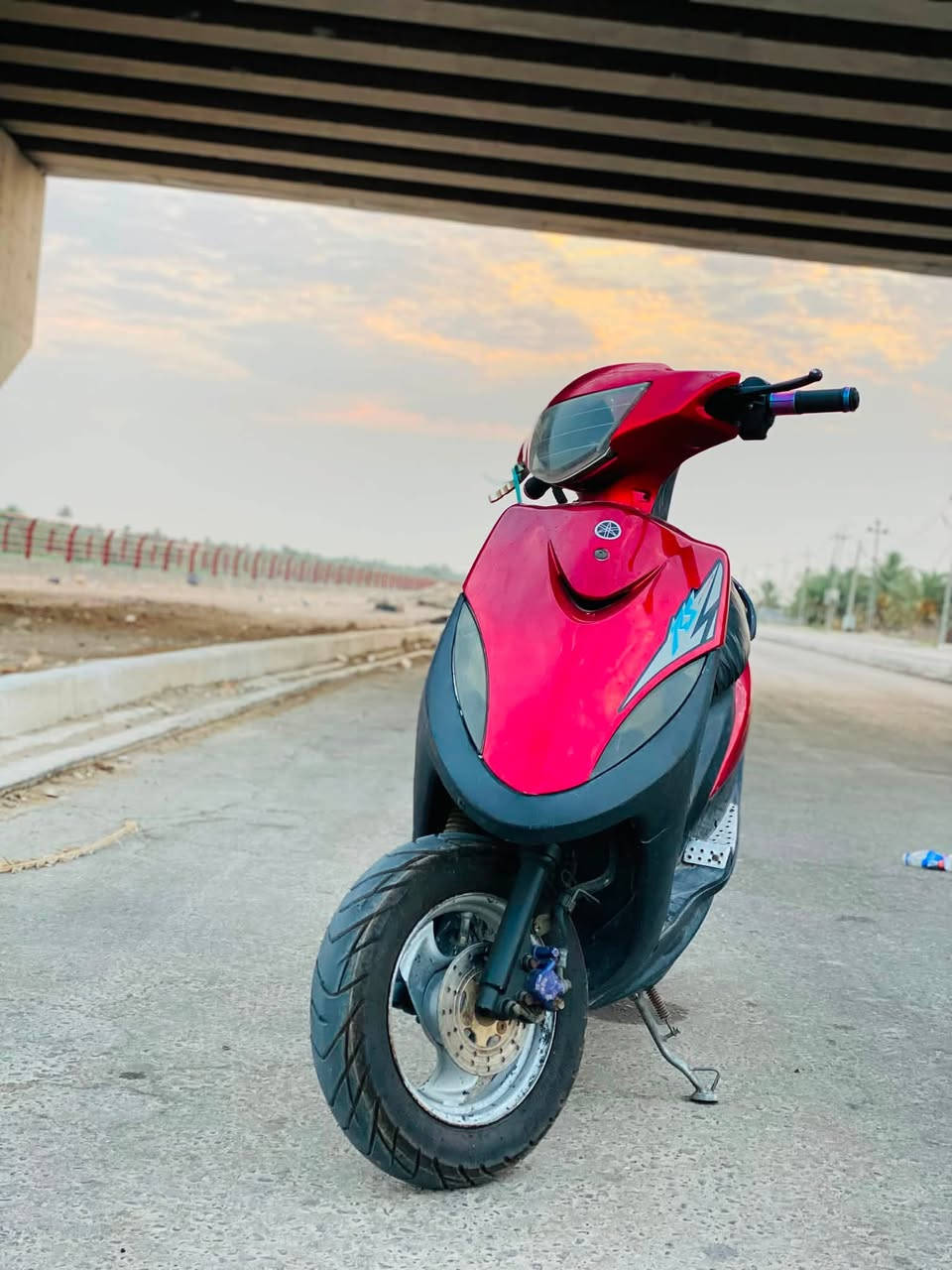 ماكس عدلة