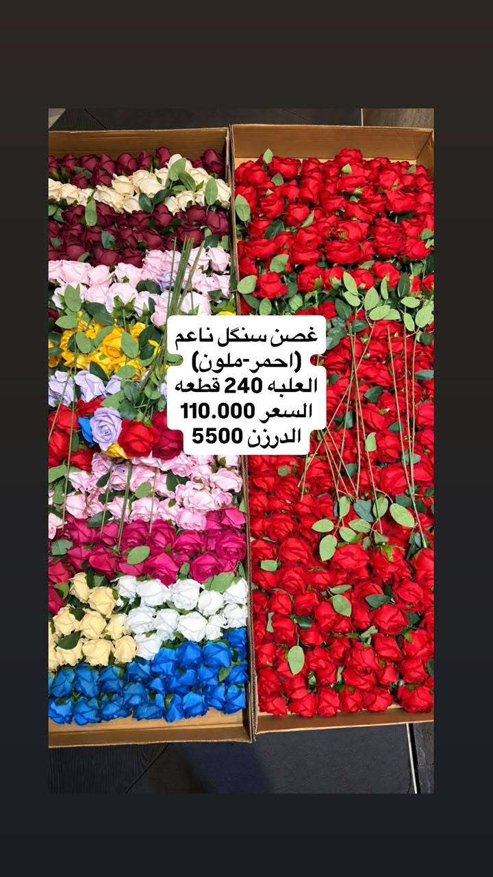 غصن سنكل • ملون • أحمر