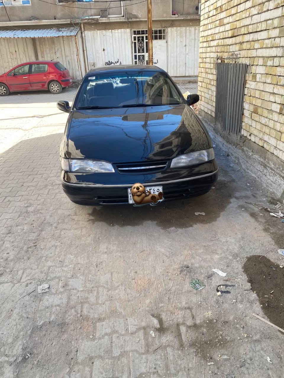 كروب دايو برنس بغداد
السلام عليكم دايو برنس فراشة موديل 97 بغداد باسمي. محرك ١٨٠٠ مفتوح كير اوتو ماتيك محرك كير صدر كله جديد غرفة اخت الجديدة تبريد ثلج تدفئه كله شغال. مري كهربائي السيارة لا مصبوغة ولا ابد بلادية بيها فقط قطعة وحدة مصبوغة وهي البنيد ومبدل البراكيت الامامي الباقي كله مكفول السعر 45$ بيها مجال بسيط  السيارة بعد احلا من الصور صبتها مكاني بغداد الاعظمية ممتواجد على الفيس اخوان. هذا رقمي ***********

نص مكتوب في الصور:
- Galaxy Note10 Lite
- ١٧ مايو ٢٠٢٤ ٧:٤١ م
- ١٧ مايو ٢٠٢٤ ٧:٤٠ م
- ١٧ مايو ٢٠٢٤ ٧:٤٢ م