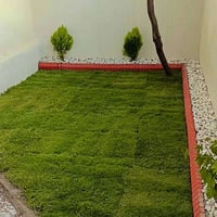 تأسيس حدائق • قص ثيل • معالجة اشجار