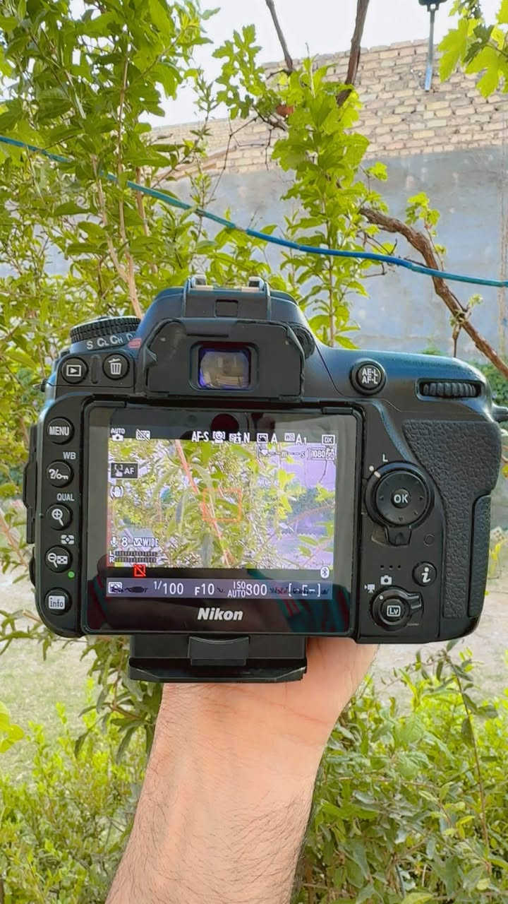 نيكون 7500 • شاتر 17912 • شخط بالعدسه