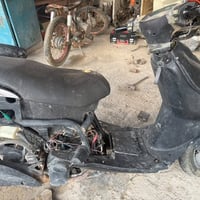 فراشه • شغاله • بدون كفرات